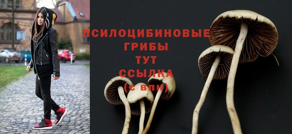 герыч Каменск-Шахтинский