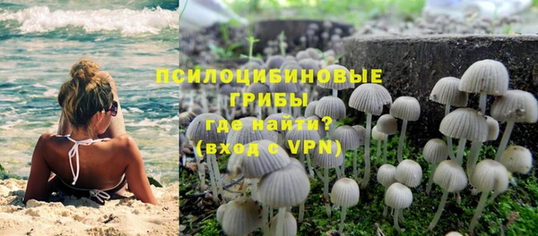 ешки Каменногорск