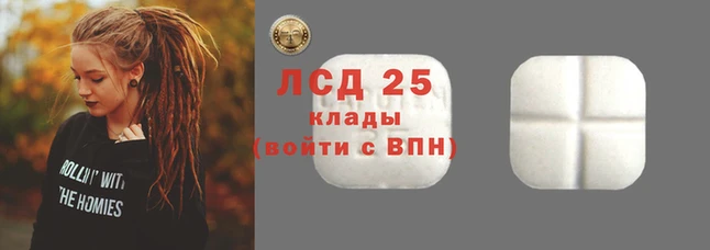 a pvp Каменка
