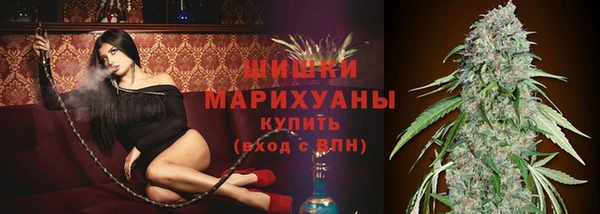 ешки Каменногорск