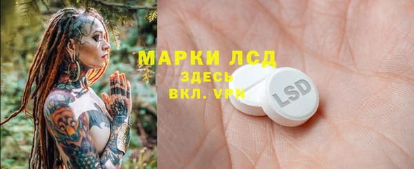 a pvp Каменка