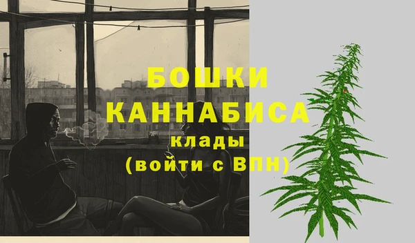 ешки Каменногорск
