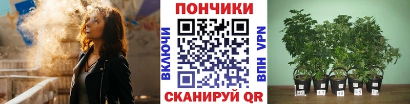 дарк нет как зайти  Ессентуки  Канабис White Widow  MEGA сайт 